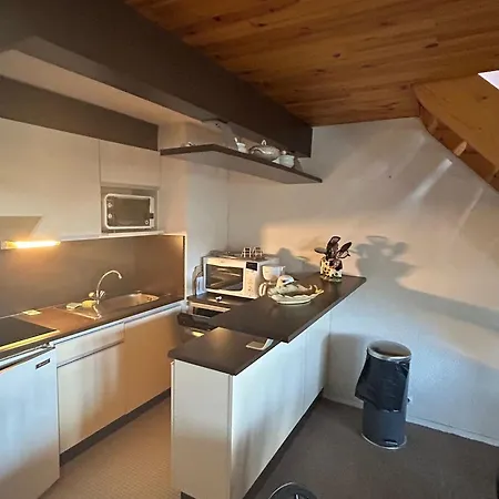 Apartment Spacieux En Montagne Avec Loggia, Au Coeur De La Station, Proche Piste Et - Fr-1-814-62 *