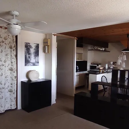 Spacieux En Montagne Avec Loggia, Au Coeur De La Station, Proche Piste Et - Fr-1-814-62 Apartment Super Besse