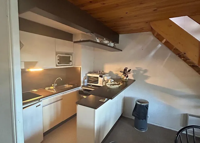 Apartment Spacieux En Montagne Avec Loggia, Au Coeur De La Station, Proche Piste Et - Fr-1-814-62 *