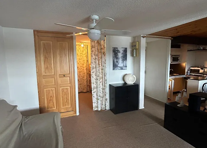 Spacieux En Montagne Avec Loggia, Au Coeur De La Station, Proche Piste Et - Fr-1-814-62 Apartment Super Besse